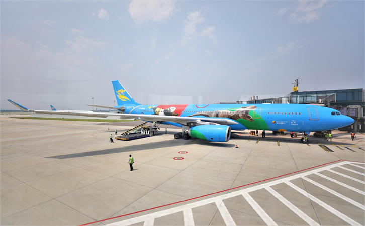 到林芝航空货运
